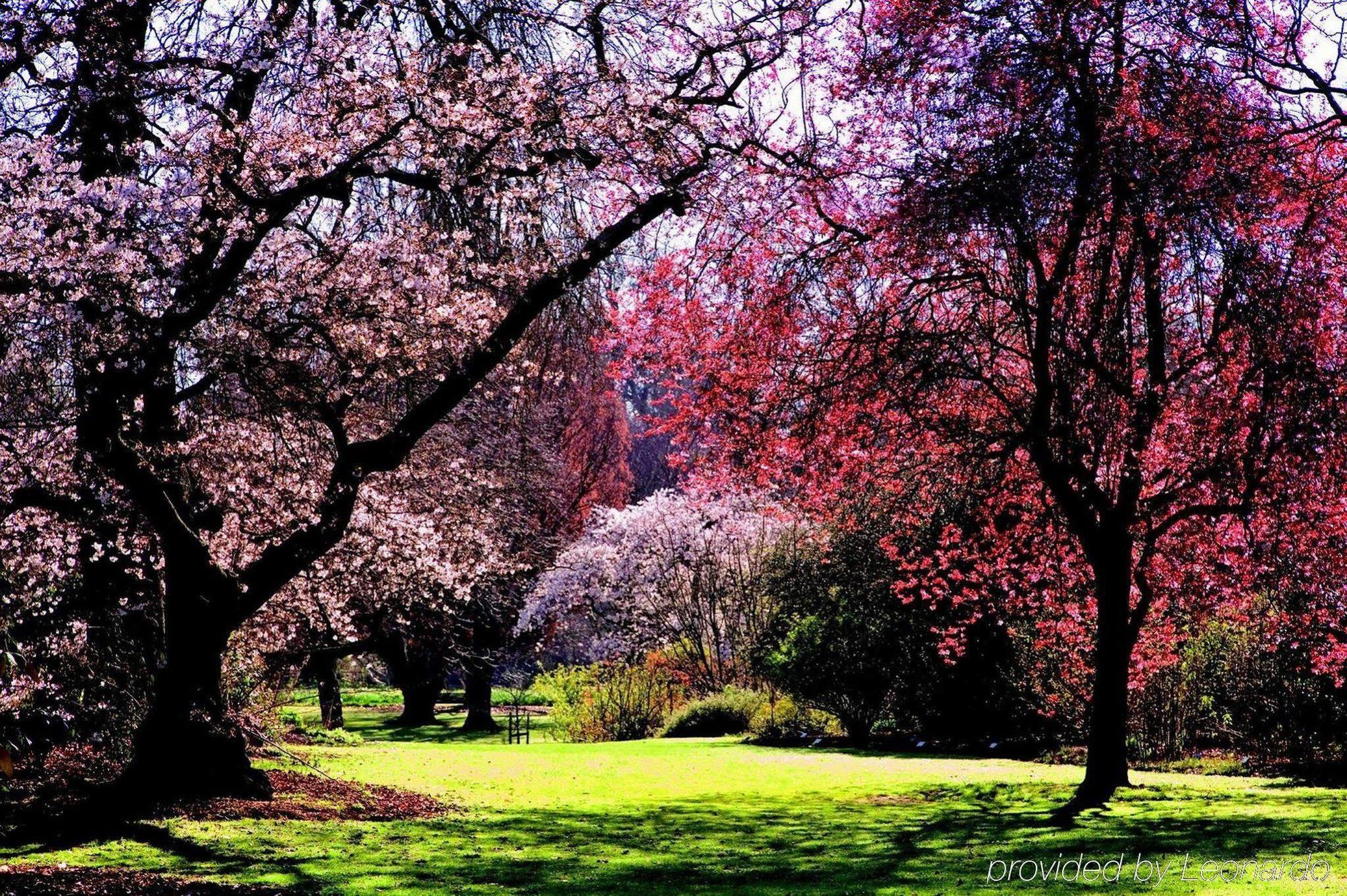 Hotel Parkview On Hagley Christchurch Esterno foto