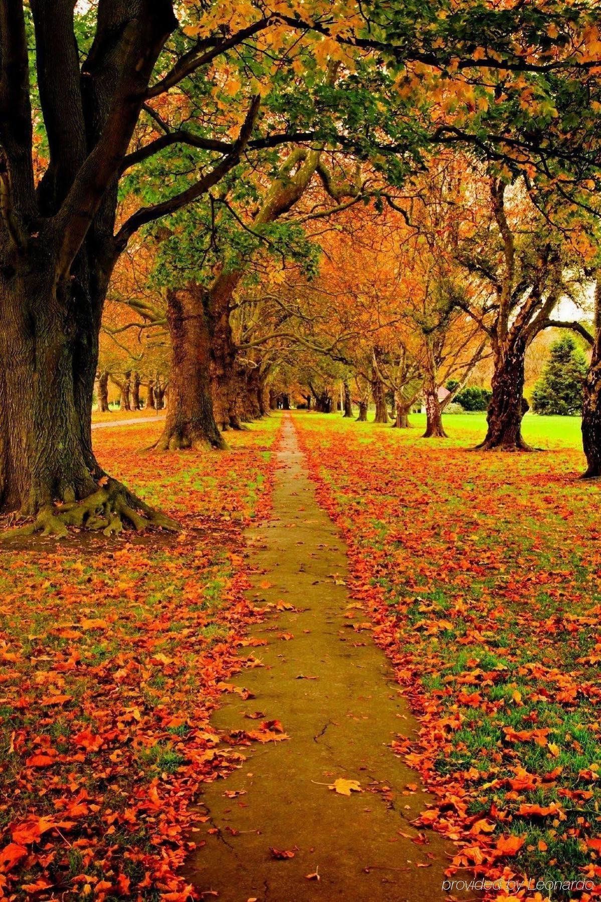 Hotel Parkview On Hagley Christchurch Esterno foto