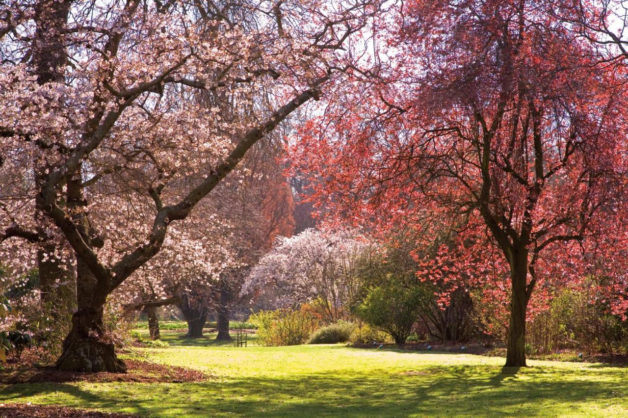 Hotel Parkview On Hagley Christchurch Esterno foto